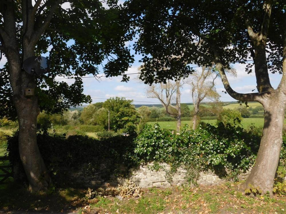 Follis Cottage Weymouth Eksteriør billede